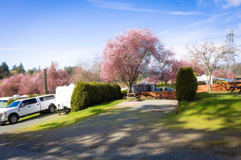 Picnic tables and RV camping area at Fort Victoria RV Park